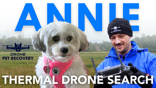 Lost Dog Miracle: How Annie the Havanese Found Her Way Home