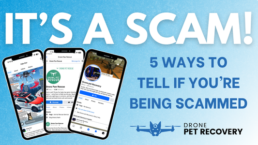 Warning: Pet Recovery Scams Are On the Rise; Here’s How to Stay Safe