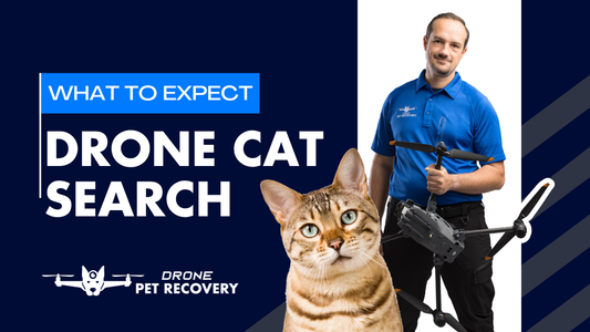 Can a Thermal Drone Help Find Your Lost Cat? What You Need to Know