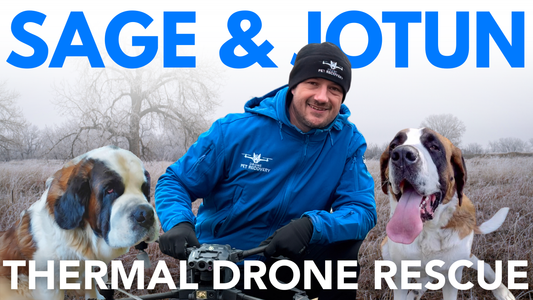 How a Thermal Drone Found Two Missing St. Bernards in the Wild