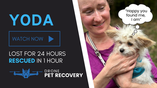 Finding Yoda: How Our Thermal Drone Helped Reunite a Lost Maltese Mix