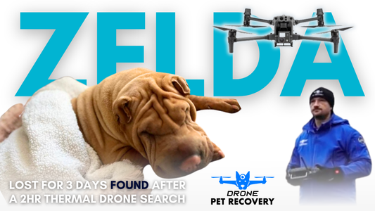 Finding Zelda: How a Thermal Drone Brought a Lost Shar-Pei Home After 3 Days