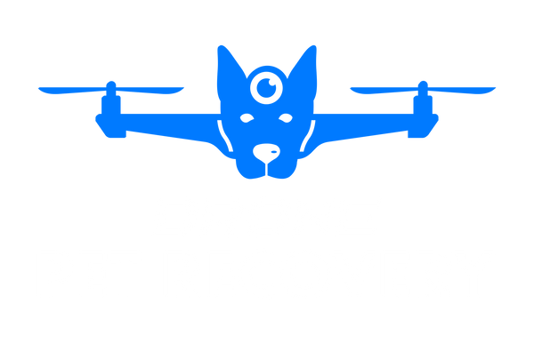 Drone Pet Recovery